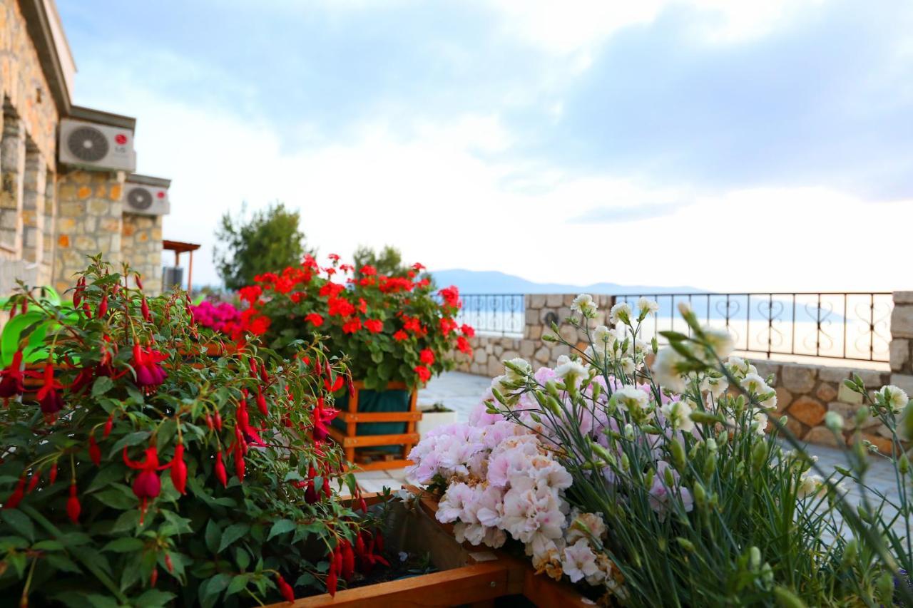 Vila Dena Vlorë Exterior foto